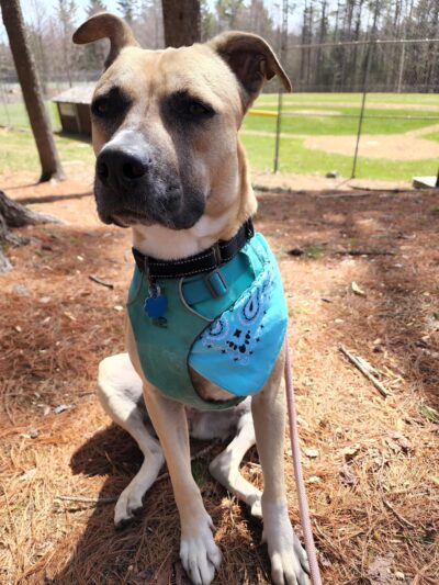 Woodward Park - New London, NH