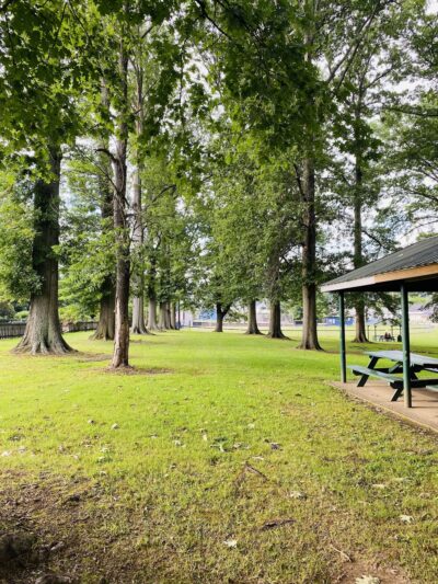 Bruce Park - New Martinsville, WV