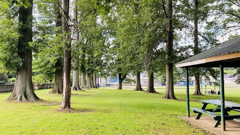 Bruce Park - New Martinsville, WV