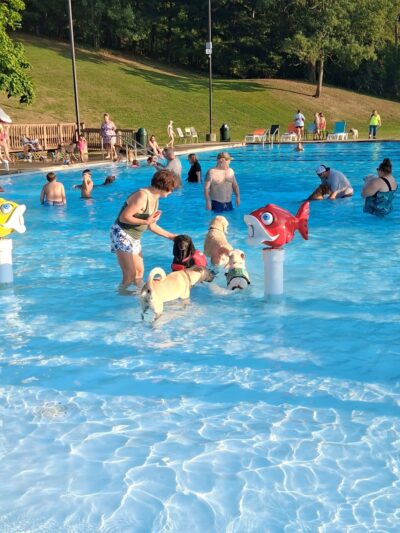 Lewis Wetzel Park - New Martinsville, WV