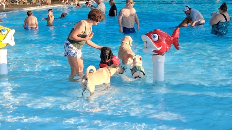 Lewis Wetzel Park - New Martinsville, WV