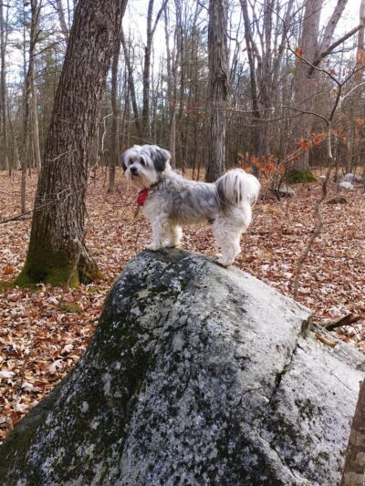 Field of Dreams Park - New Paltz, NY