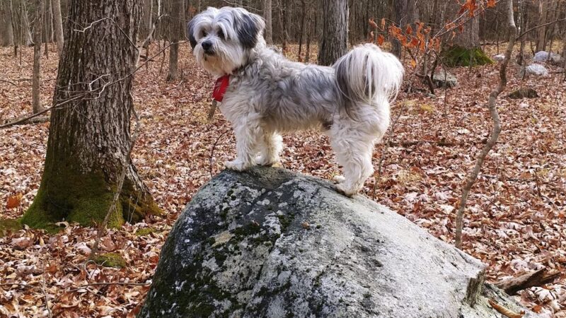 Field of Dreams Park - New Paltz, NY