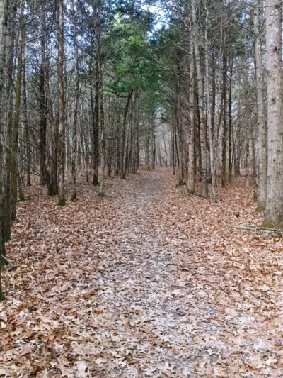 Field of Dreams Park - New Paltz, NY