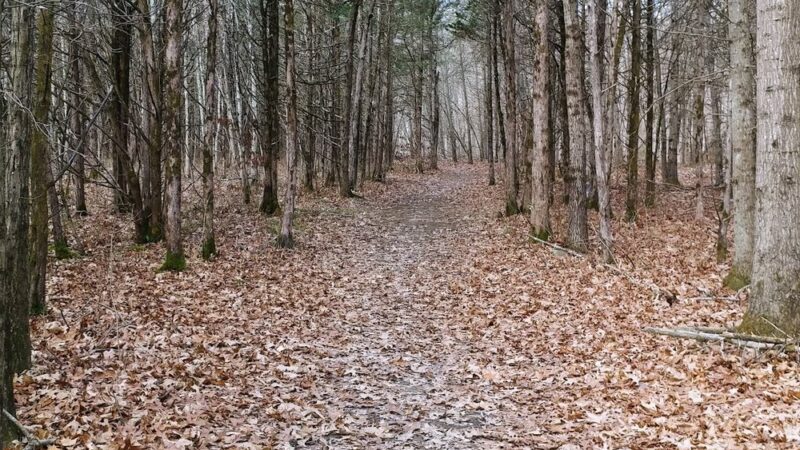 Field of Dreams Park - New Paltz, NY
