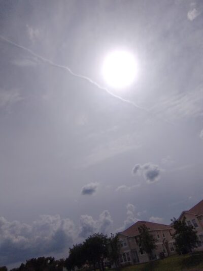 Dog Haven Waste Station - New Port Richey, FL