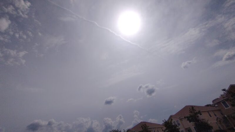 Dog Haven Waste Station - New Port Richey, FL