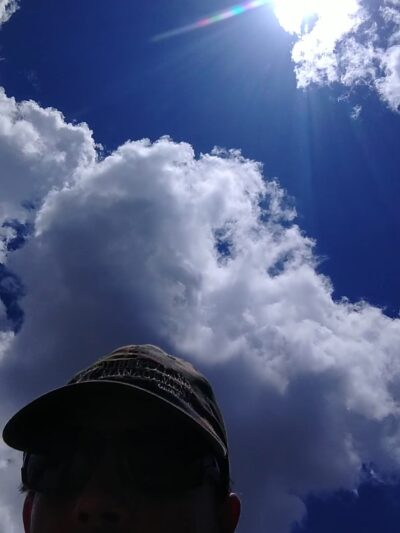 Dog Haven Waste Station - New Port Richey, FL