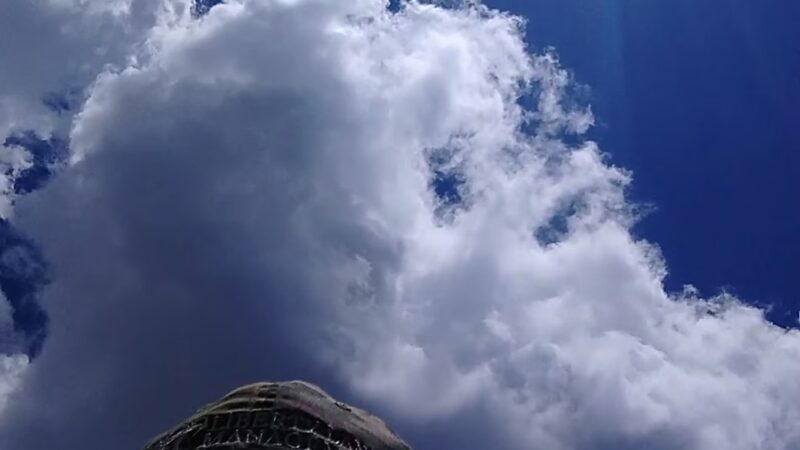 Dog Haven Waste Station - New Port Richey, FL