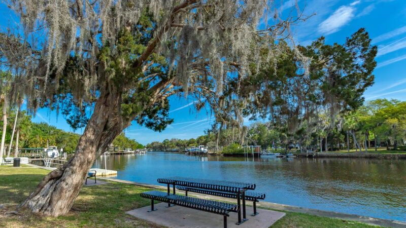 Jasmin Park - New Port Richey, FL