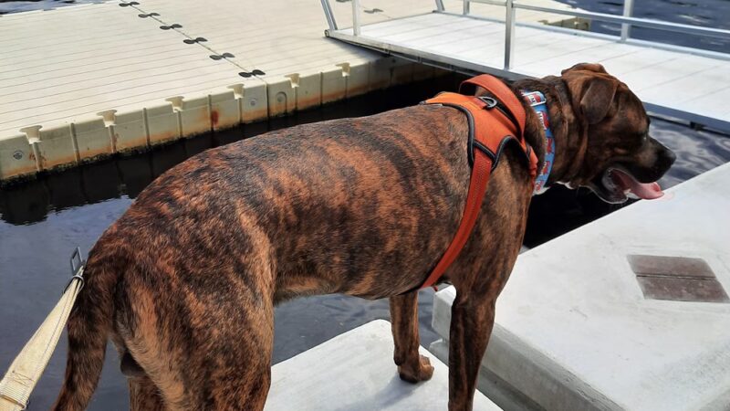 Jasmin Park - New Port Richey, FL