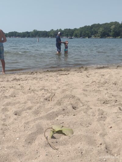 Beaver Lake Park - New Richland, MN