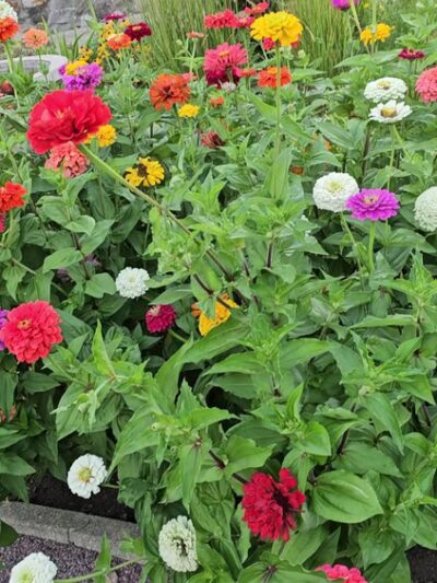 German Park - New Ulm, MN