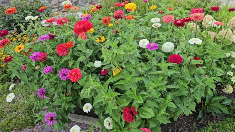 German Park - New Ulm, MN