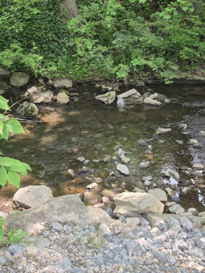 New Wilmington Borough Park - New Wilmington, PA