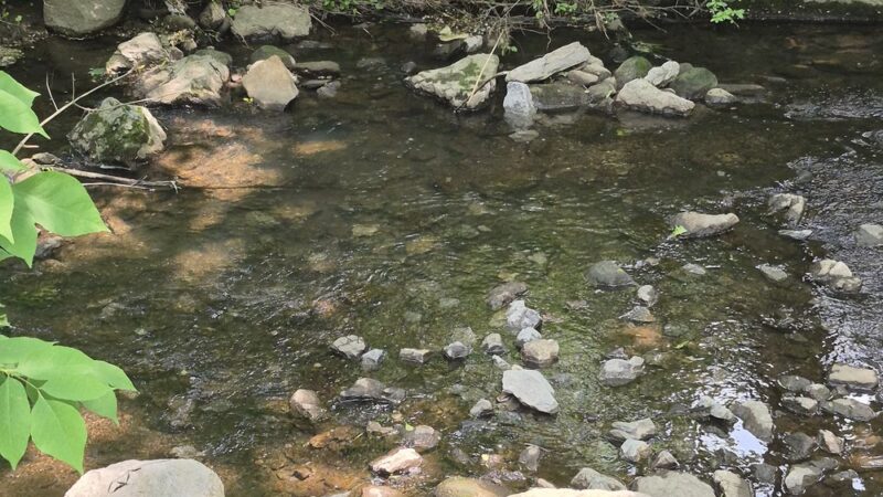 New Wilmington Borough Park - New Wilmington, PA