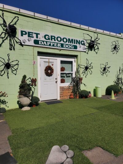 Dapper Dog - New Windsor, NY