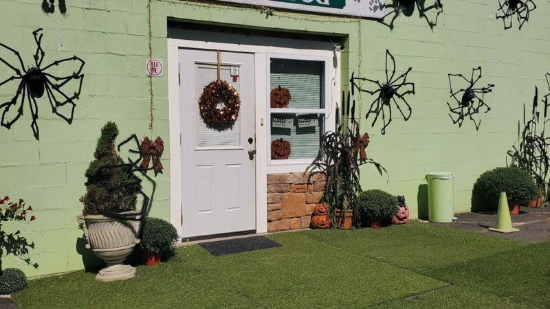 Dapper Dog - New Windsor, NY