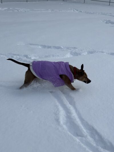 San Giacomo Playground - New Windsor, NY