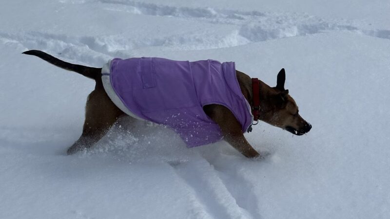 San Giacomo Playground - New Windsor, NY
