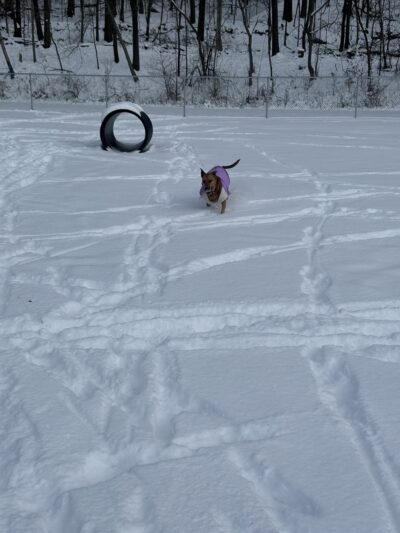 San Giacomo Playground - New Windsor, NY