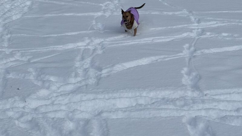 San Giacomo Playground - New Windsor, NY