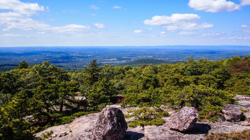 Schunnemunk State Park - New Windsor, NY