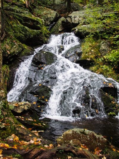 Schunnemunk State Park - New Windsor, NY