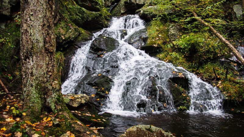 Schunnemunk State Park - New Windsor, NY