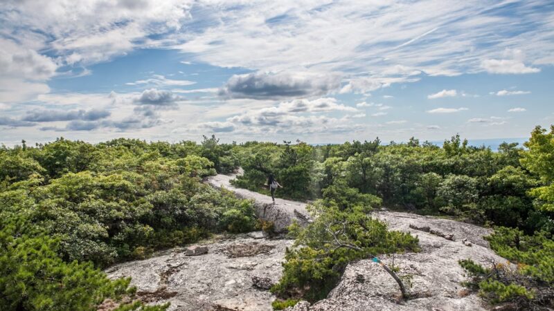 Schunnemunk State Park - New Windsor, NY