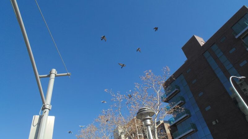 Allen Malls - New York, NY