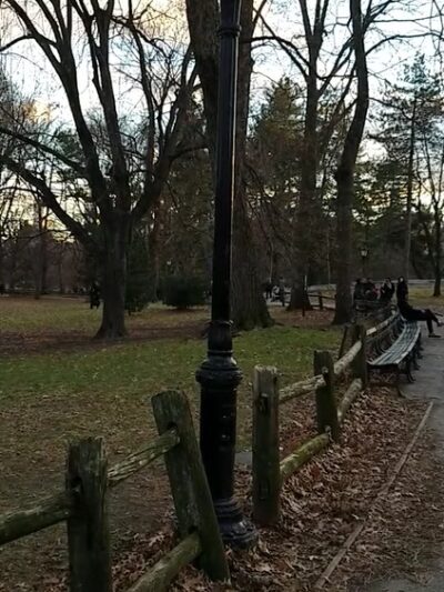 Arthur Ross Pinetum - New York, NY