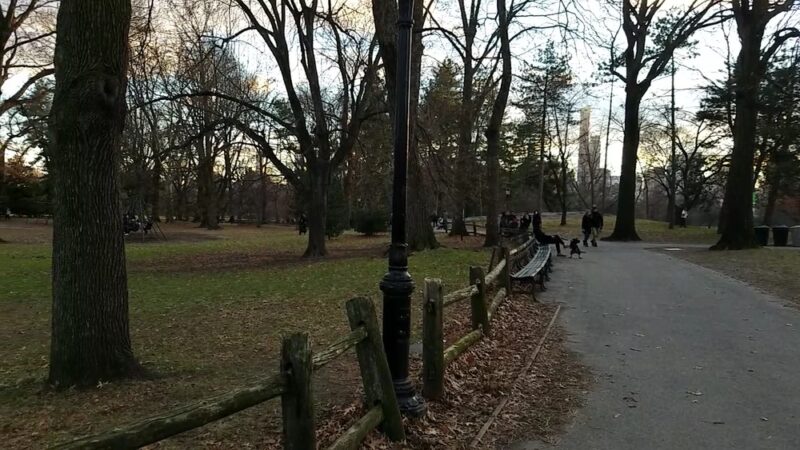 Arthur Ross Pinetum - New York, NY