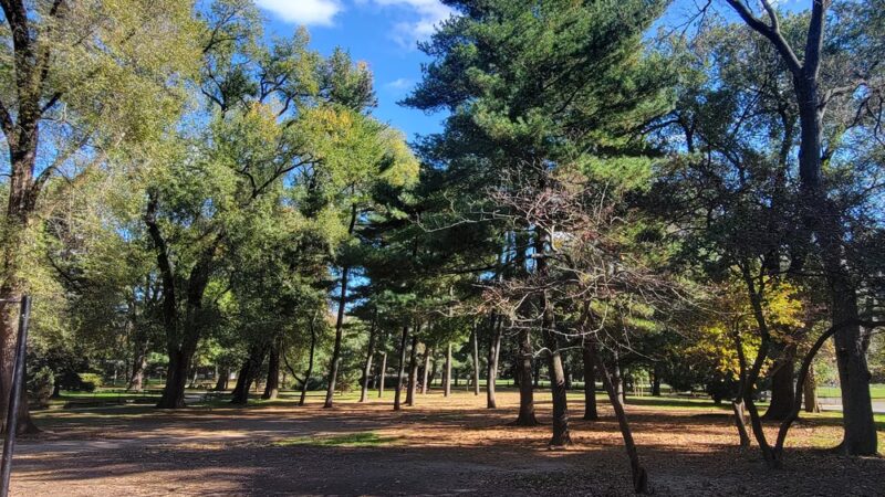 Arthur Ross Pinetum - New York, NY