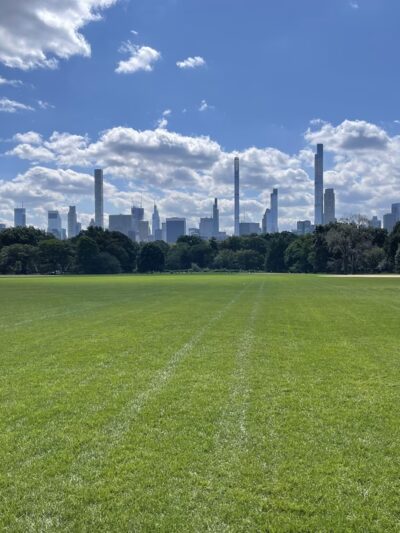 Arthur Ross Pinetum - New York, NY