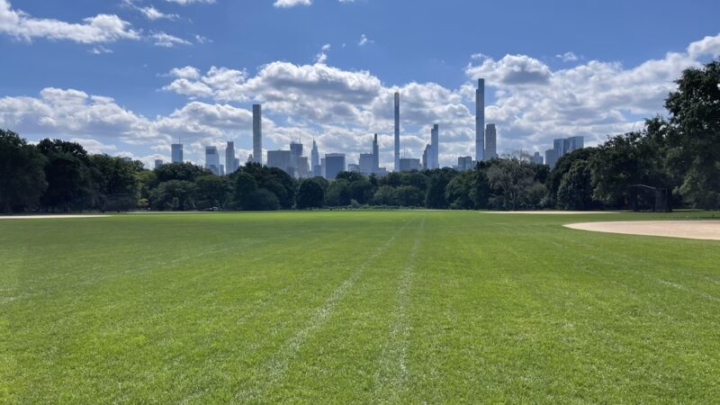 Arthur Ross Pinetum - New York, NY