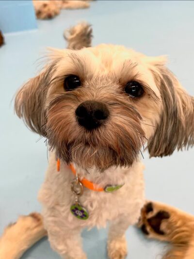 Biscuits & Bath - Midtown West - New York, NY