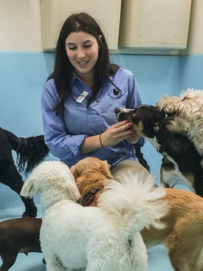 Biscuits & Bath - Park Ave - New York, NY