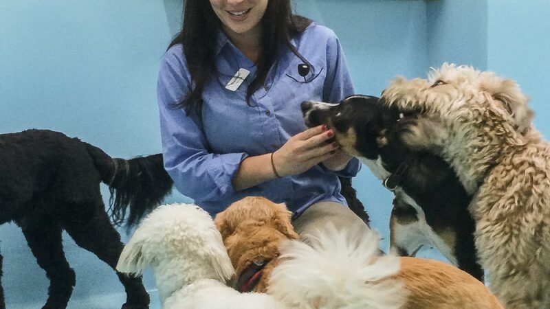 Biscuits & Bath - Park Ave - New York, NY