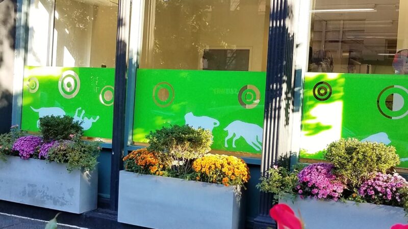 Coco and Toto - New York, NY