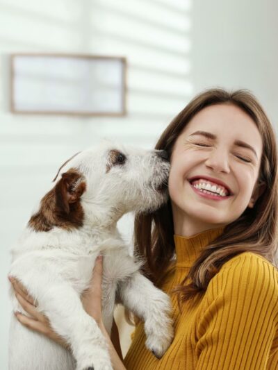 Cuddlytails - New York, NY