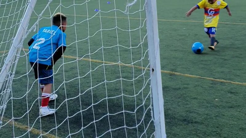 Eugene McCabe Field - New York, NY