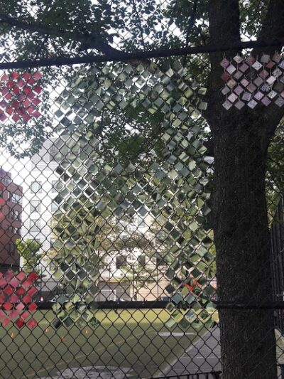 Eugene McCabe Field - New York, NY