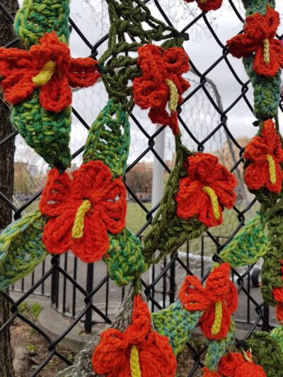 Eugene McCabe Field - New York, NY