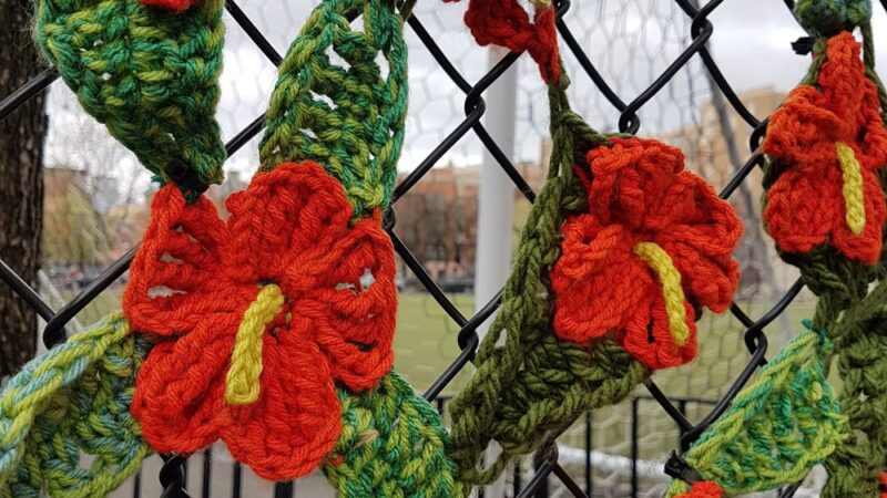 Eugene McCabe Field - New York, NY