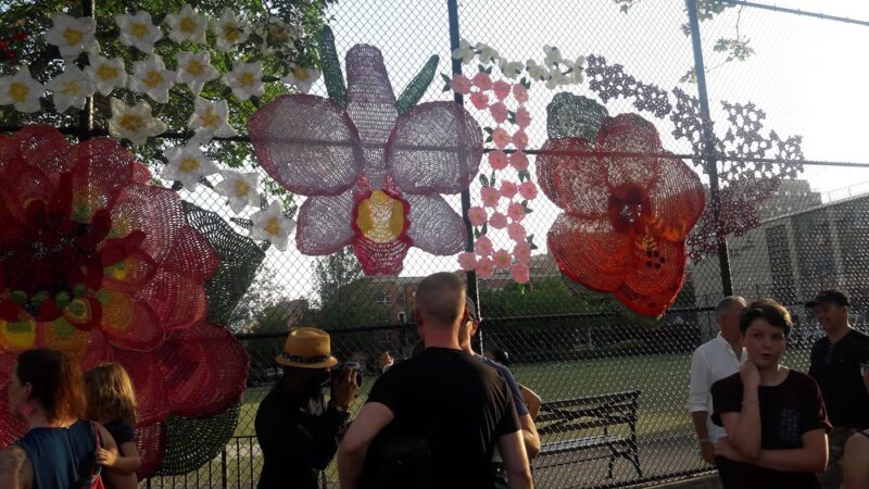 Eugene McCabe Field - New York, NY