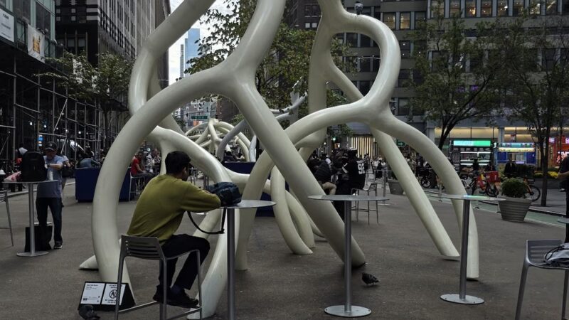 Garment District Plaza - New York, NY