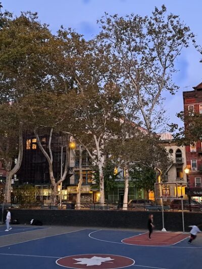 Lion's Gate Field - New York, NY