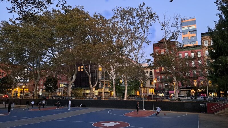 Lion's Gate Field - New York, NY