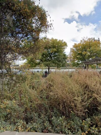 Monarch Waystation - New York, NY